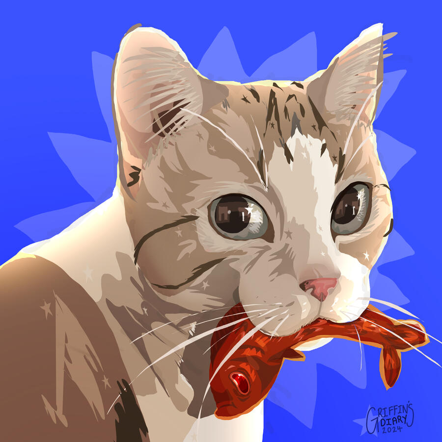 cat on blue background